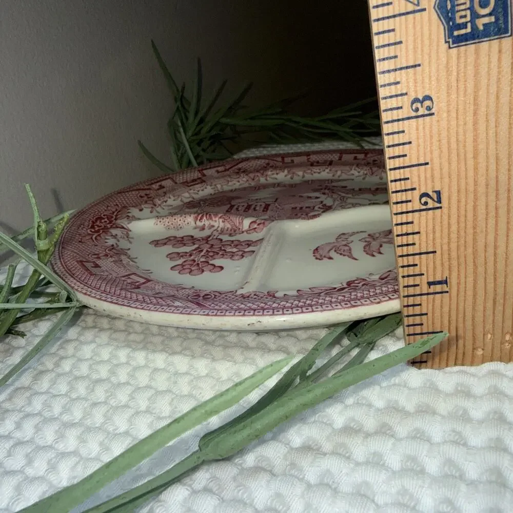 Vintage pink Rosa red Willow divided dinner plate outdoor scene birds, USA